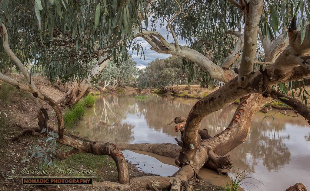 Ward River View